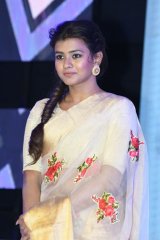 Mister Movie Pre Release Function